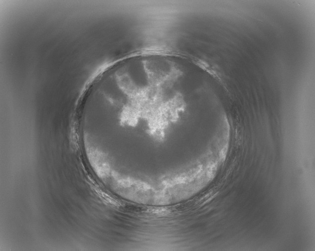 X0000053141454200508081332