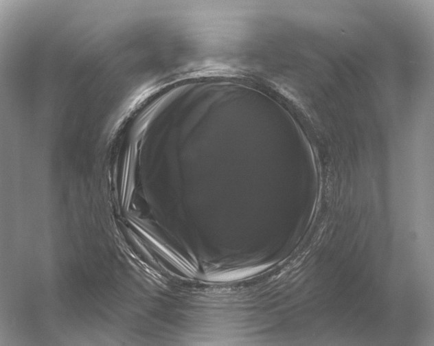 X0000053141455200508081332