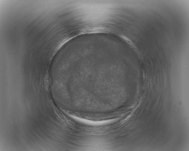 X0000053141457200508081332