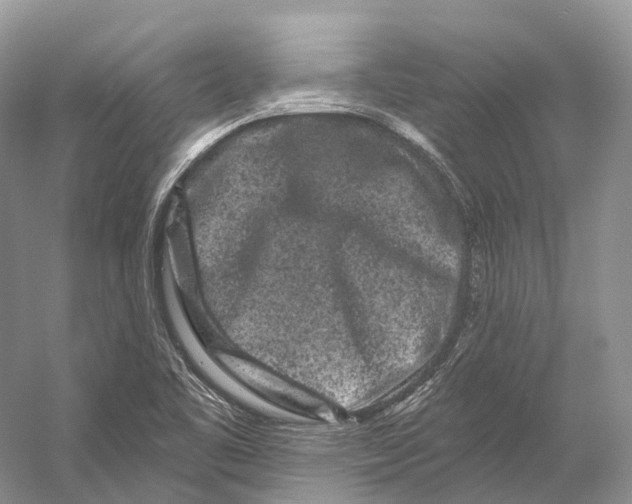 X0000053141461200508081331
