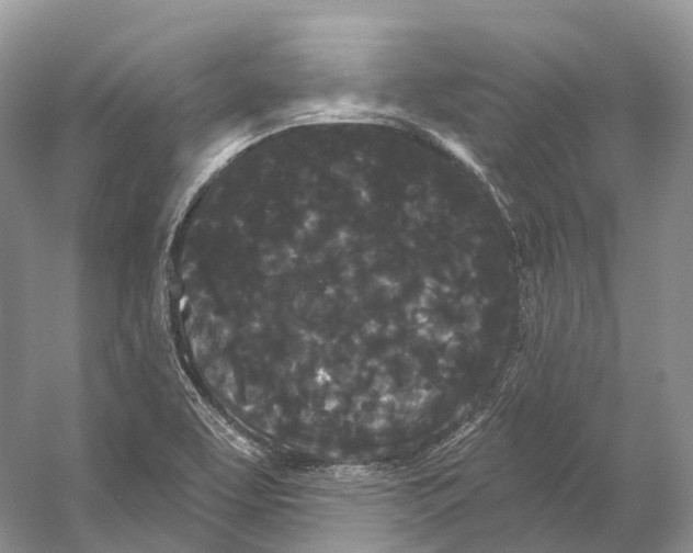 X0000053141463200508081331