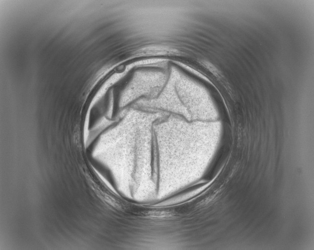 X0000053141465200508081331