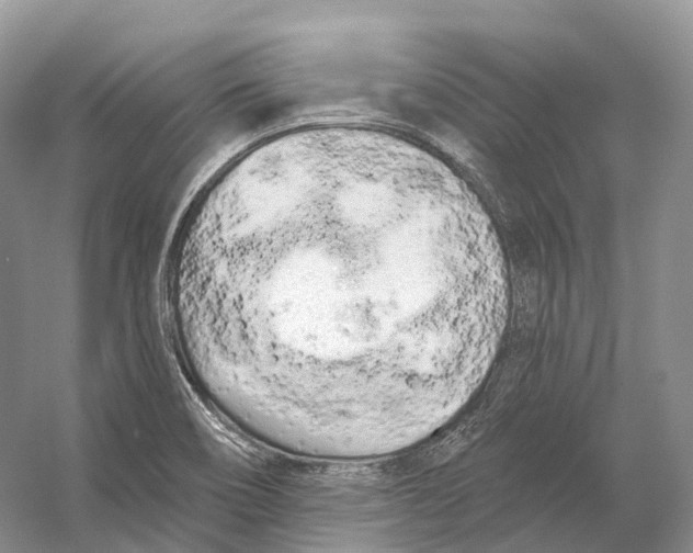 X0000053141466200508081331
