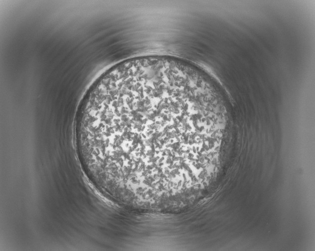 X0000053141468200508081331