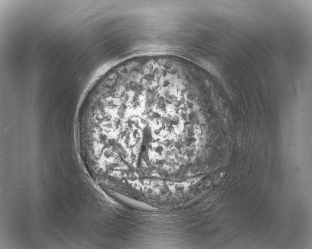 X0000053141472200508081331