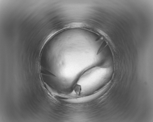 X0000053141473200508081331