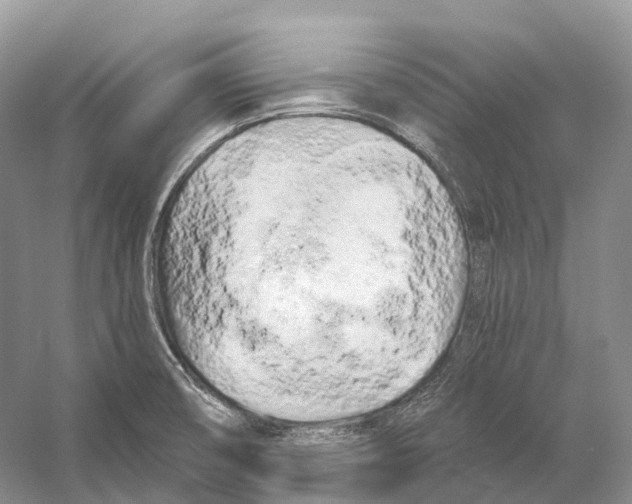 X0000053141474200508081331