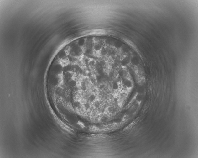 X0000053141475200508081331