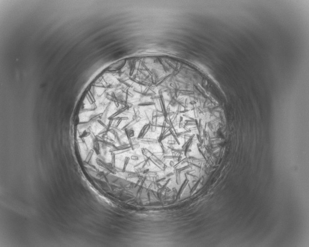 X0000053141476200508081331