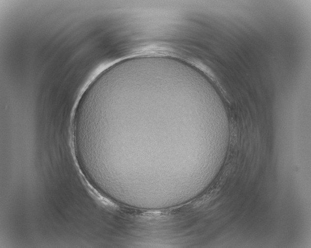 X0000053141478200508081331