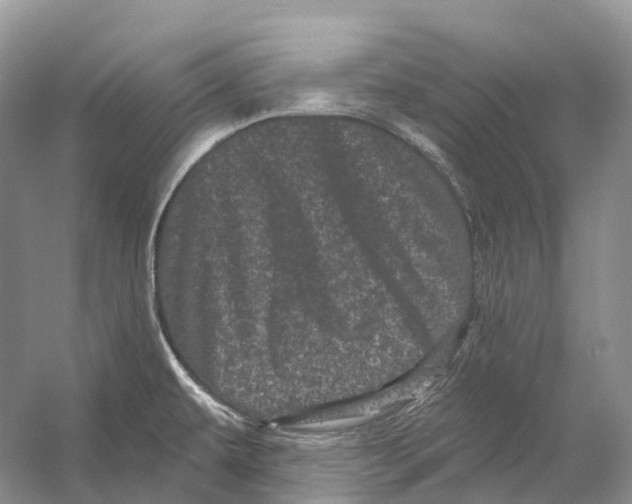 X0000053141479200508081331