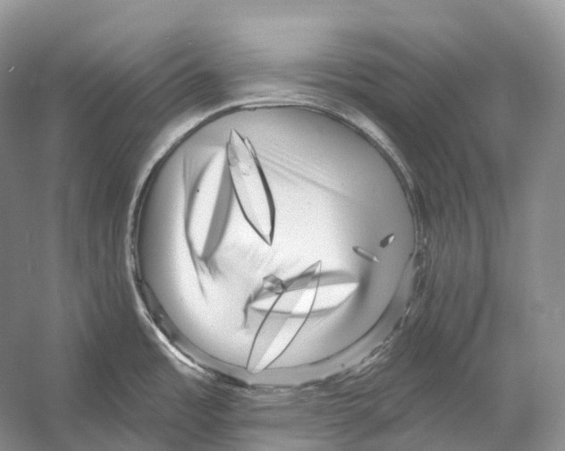 X0000053141485200508081331