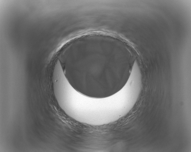 X0000053141496200508081330