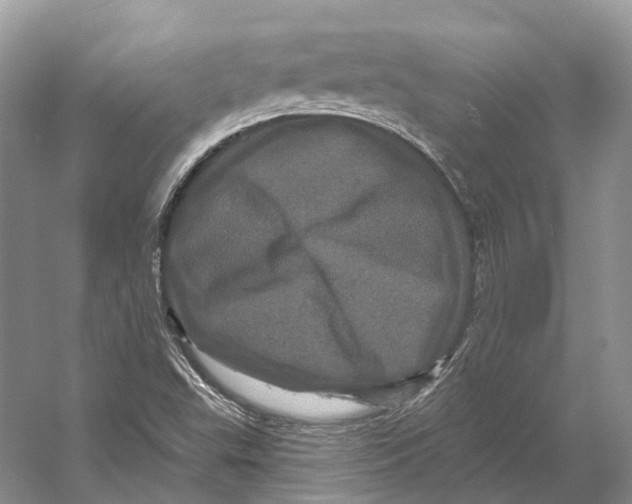 X0000053141503200508081330