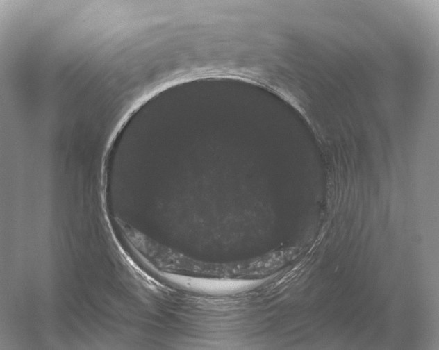 X0000053141508200508081331