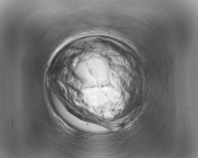 X0000053141510200508081331
