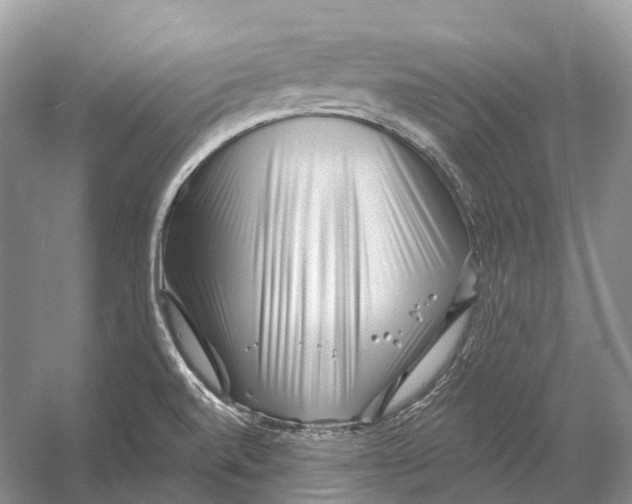 X0000053141520200508081331