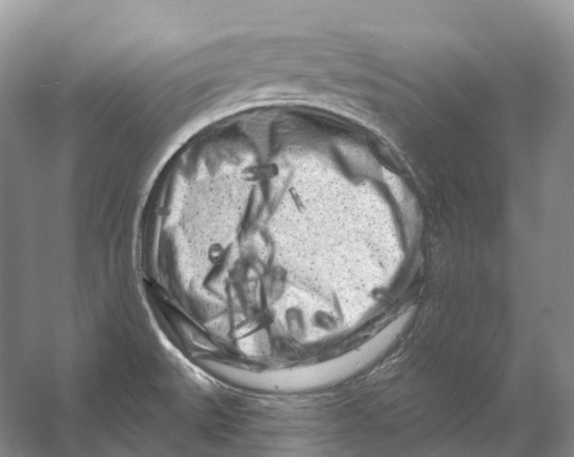 X0000053141527200508081331