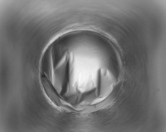 X0000053141528200508081331
