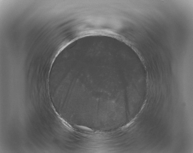 X0000053141529200508081331