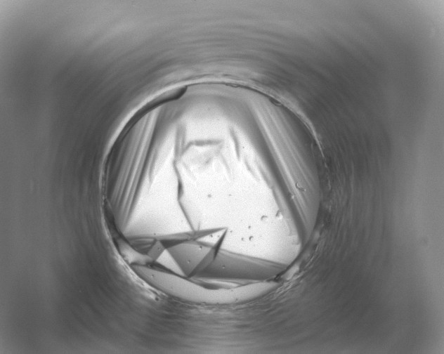 X0000053141532200508081331