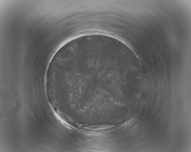 X0000053141535200508081331
