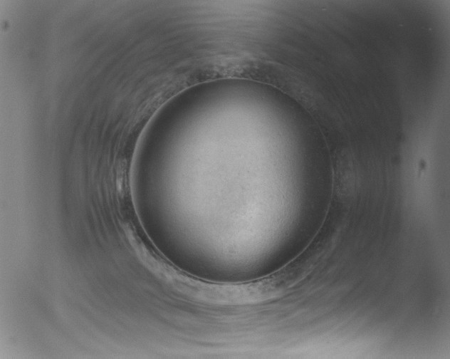 X0000053150034200507111505