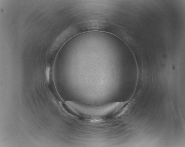 X0000053150070200507111505