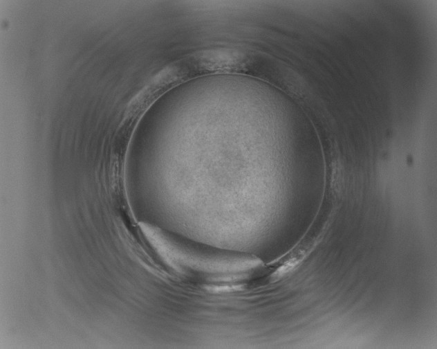 X0000053150165200507111503