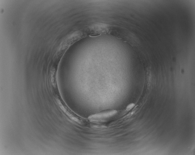 X0000053150185200507111503
