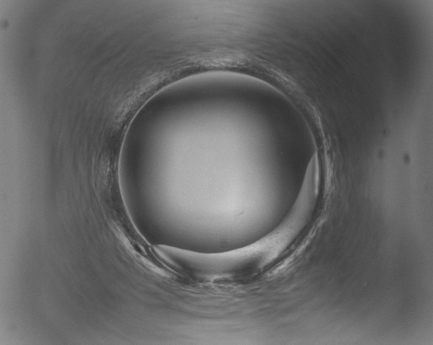X0000053150201200507111503