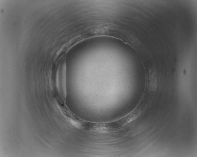 X0000053150228200507111502