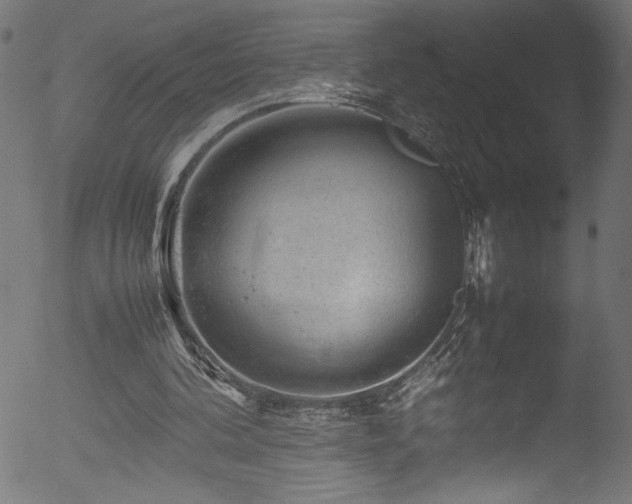 X0000053150292200507111501