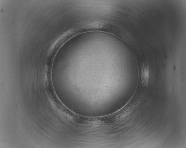 X0000053150396200507111459
