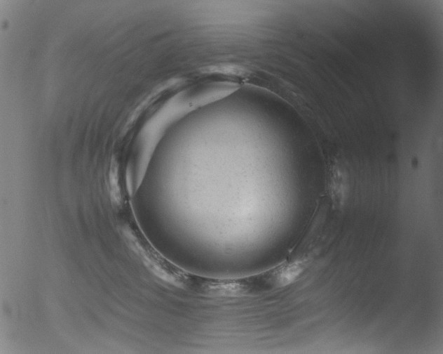 X0000053150428200507111459