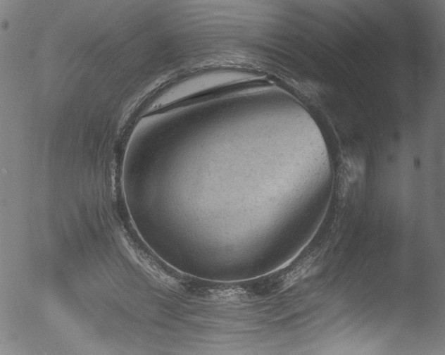 X0000053150446200507111458
