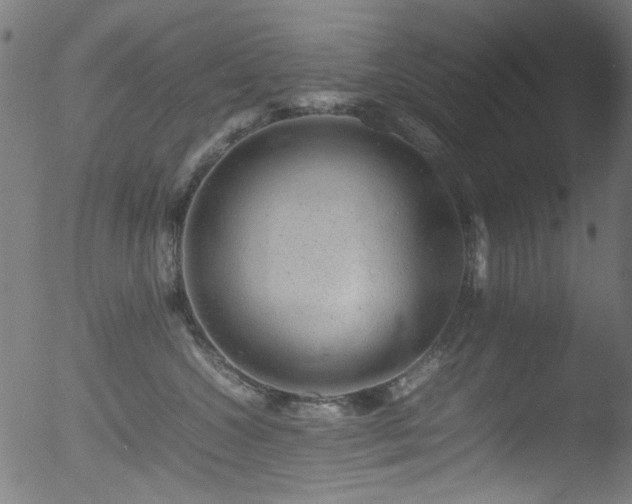 X0000053150572200507111457