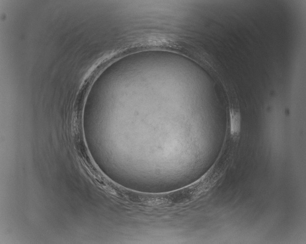 X0000053150579200507111456
