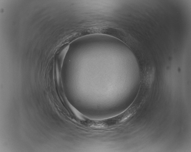 X0000053150599200507111456