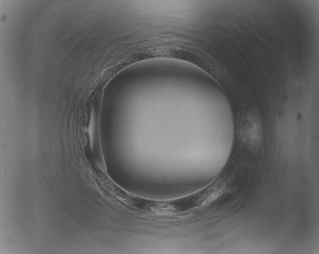X0000053150603200507111456