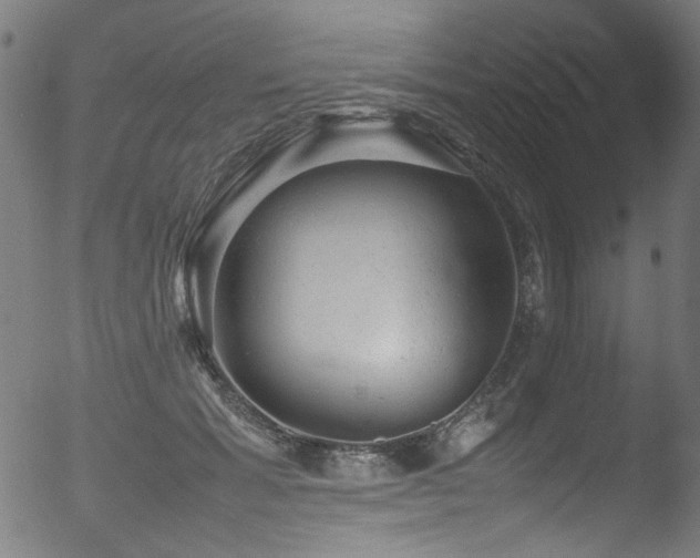 X0000053150605200507111456
