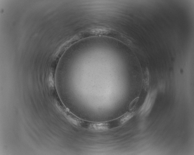 X0000053150622200507111455