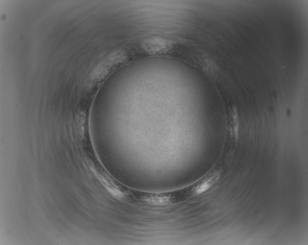X0000053150664200507111455
