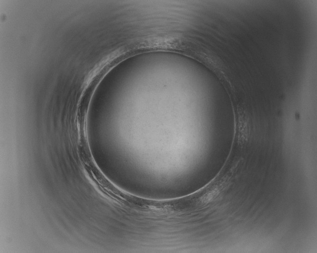X0000053150674200507111454
