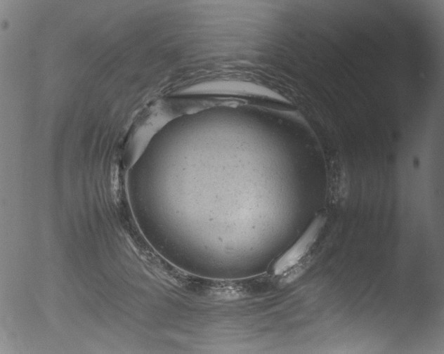 X0000053150704200507111454