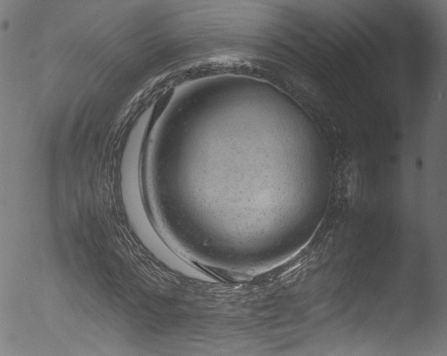 X0000053150776200507111453