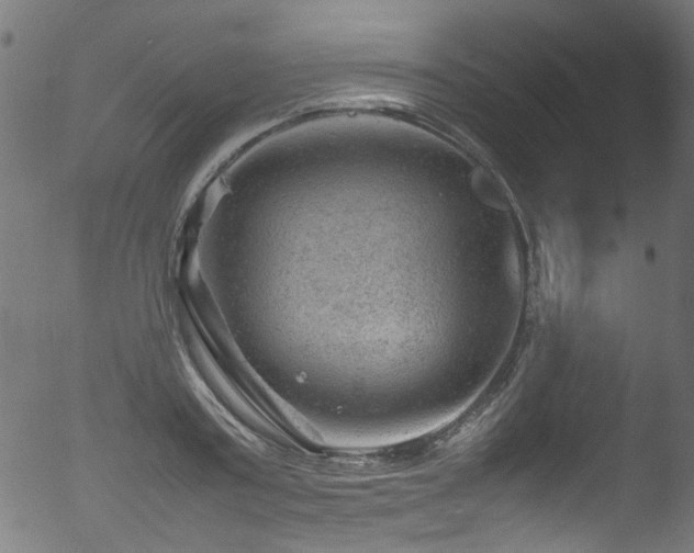 X0000053150795200507111452