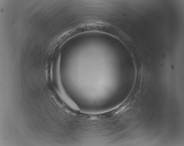 X0000053150822200507111451