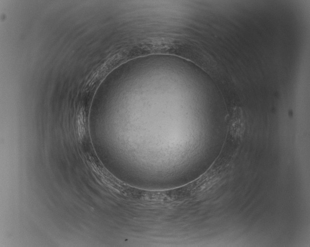 X0000053150866200507111451