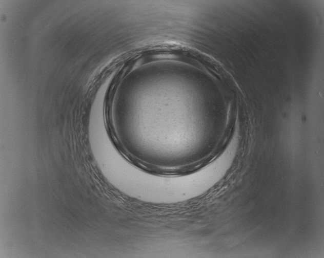 X0000053150871200507111451
